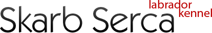 Skarb Serca